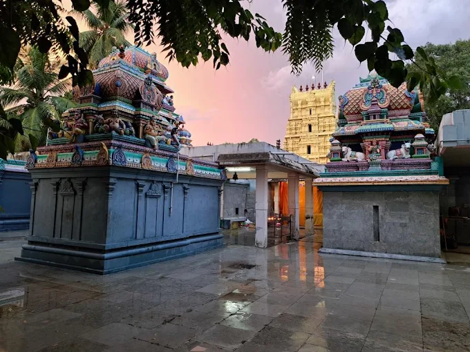Arulmigu Sri Kasi Viswanaatha swaamy Temple